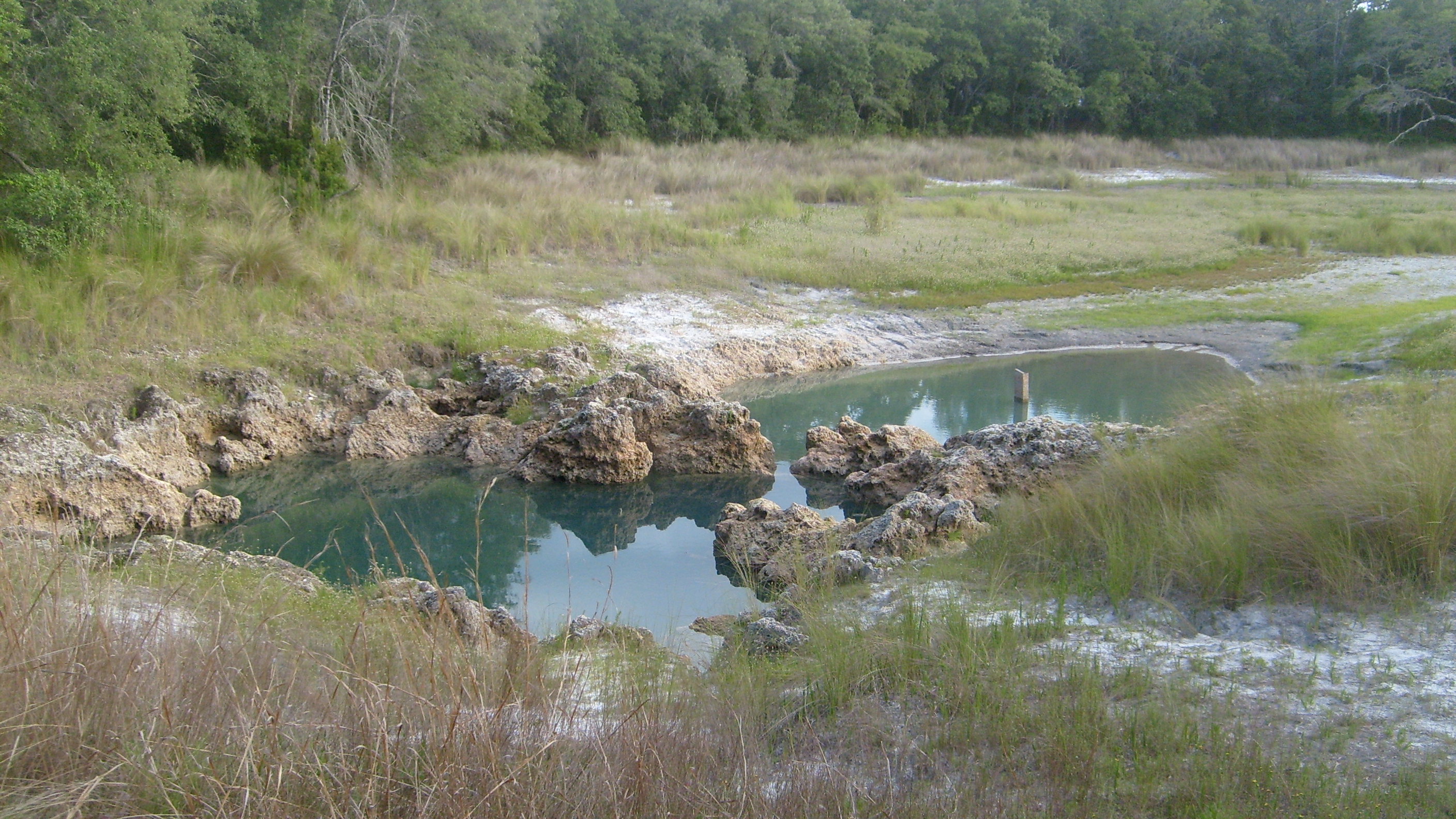 Photo of Arch sink