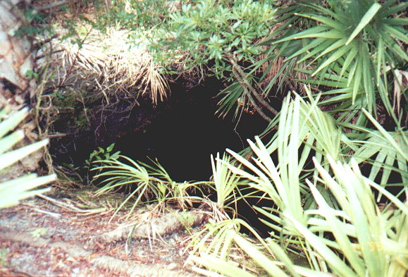 Picture of Bretts Toilet Bowl facing North