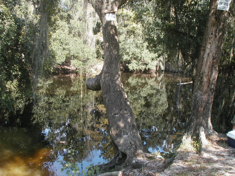 Chicken Farm Sink facing North