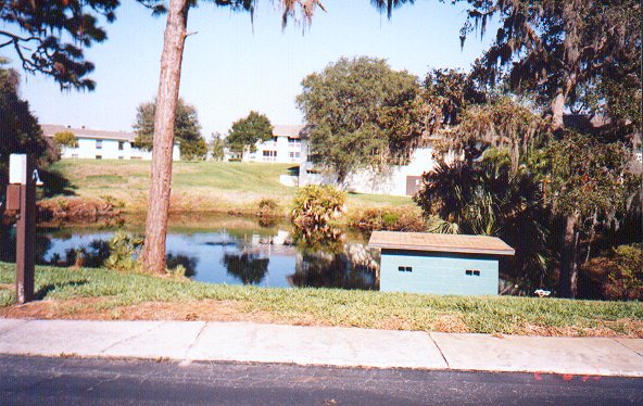 Picture of Green Dolphin Sink