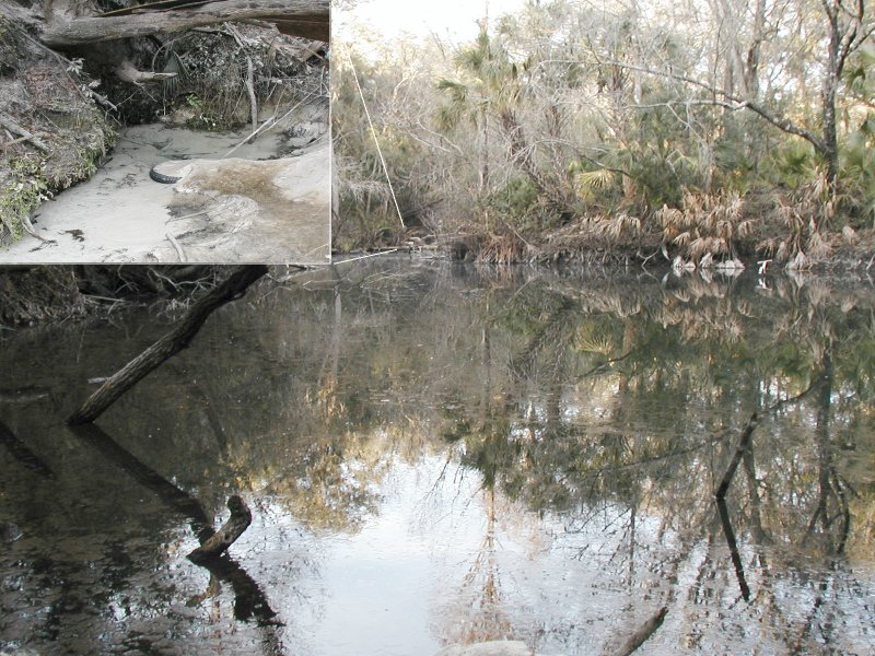 Picture of Harvey Springs Run