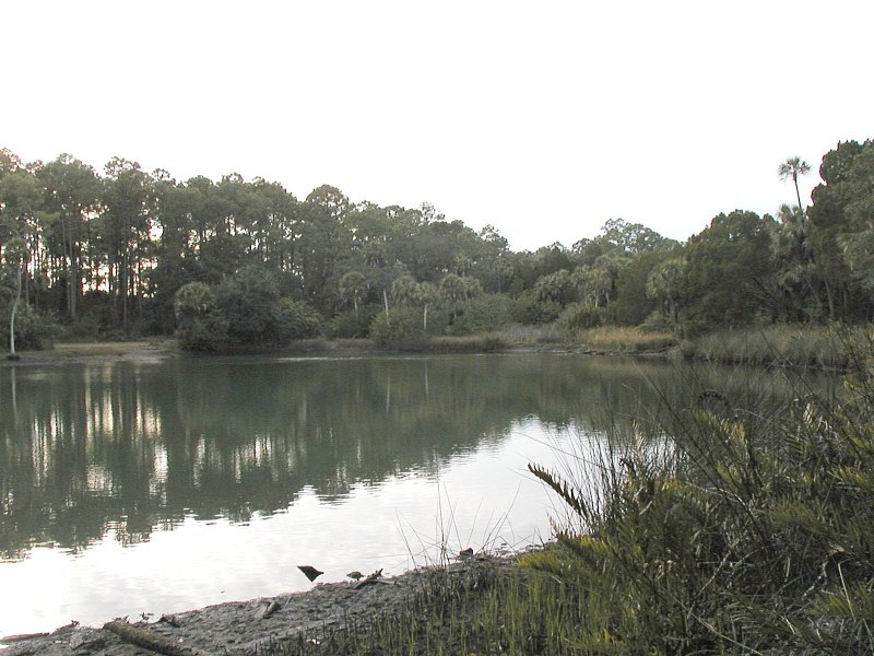 Picture of Mud Spring