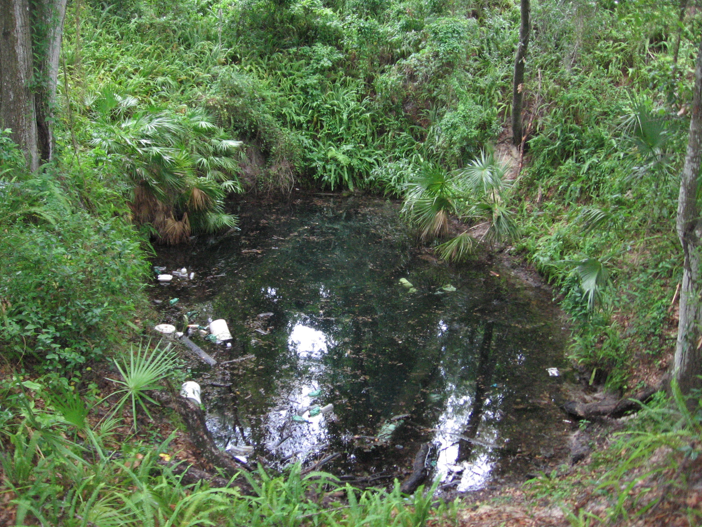 Photo of Nexxus Sink