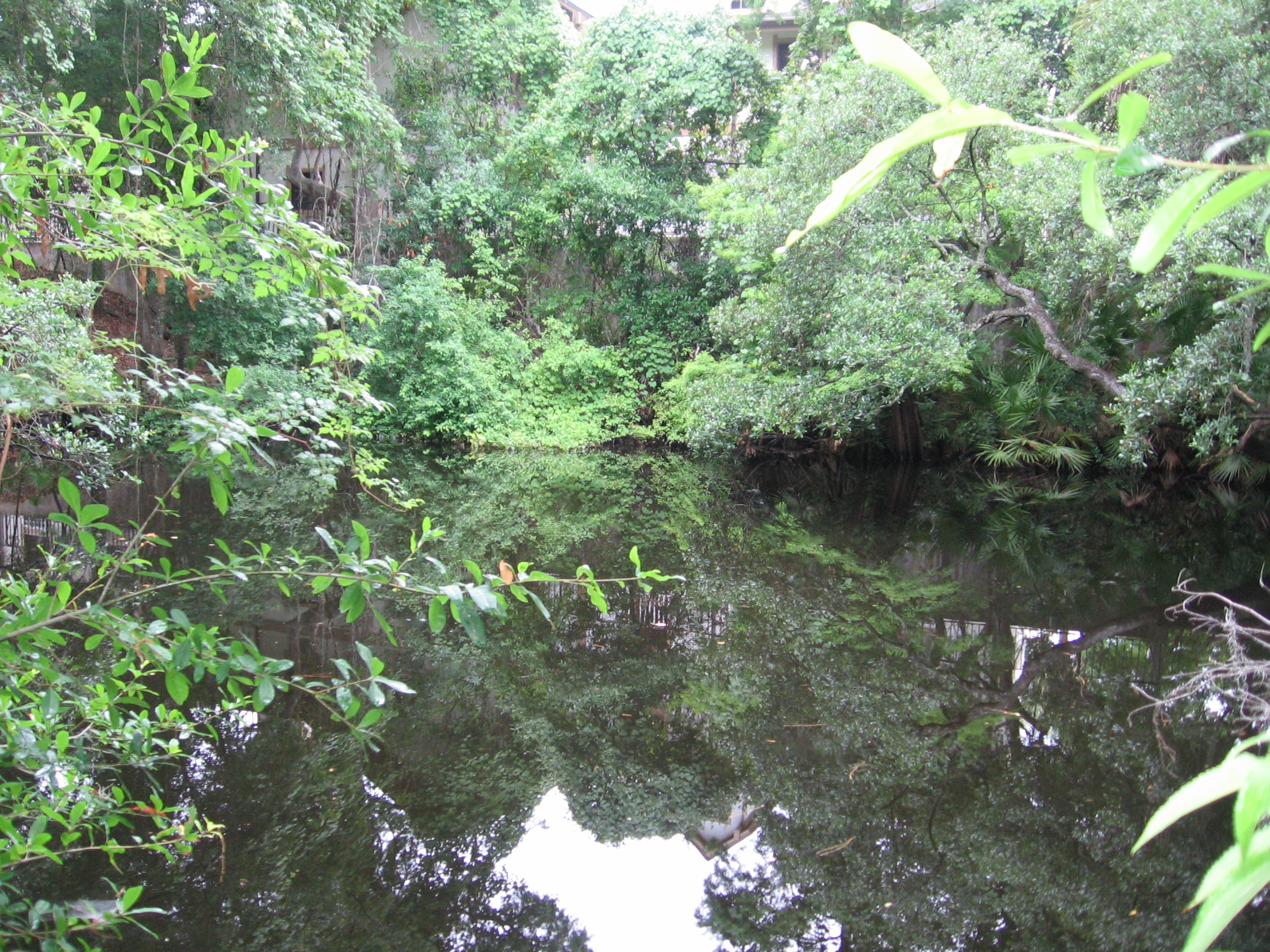 Photo of Round Sink