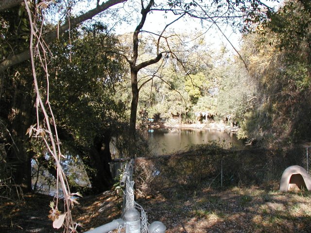 Picture of Spring Lake
